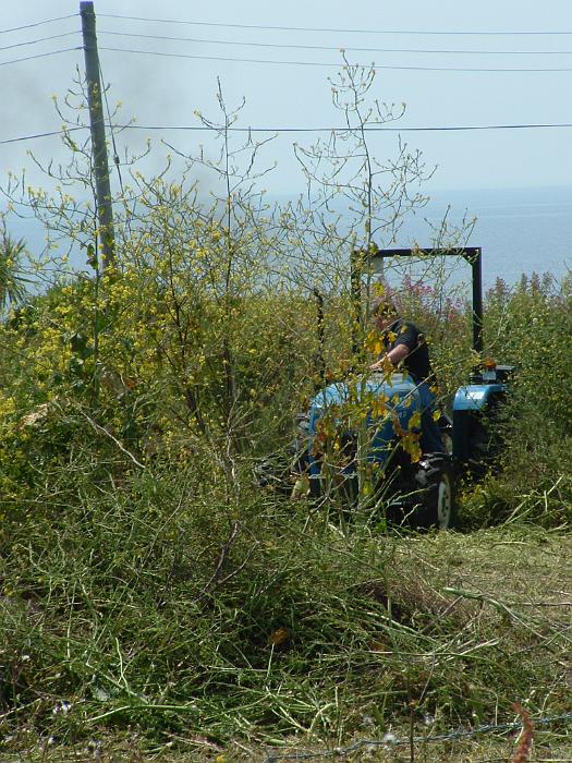 2 Clearing the Field (19)